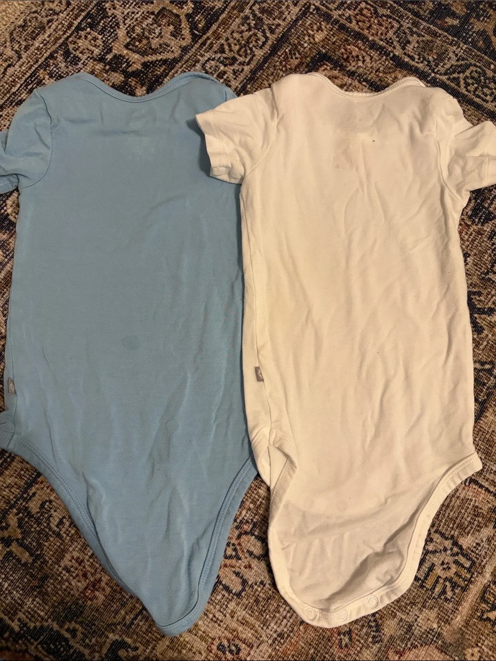 Short Sleeve Bodysuits